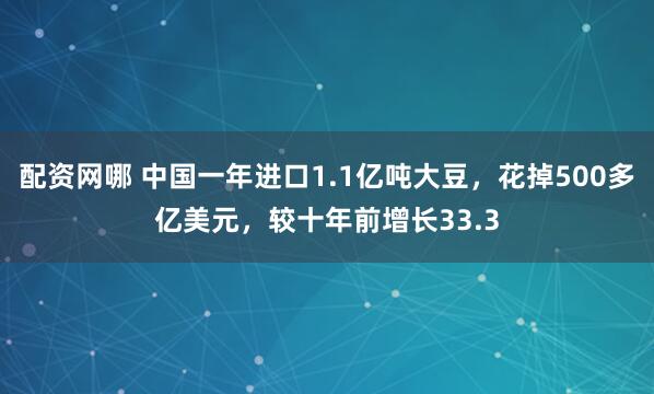 配资网哪 中国一年进口1.1亿吨大豆，花掉500多亿美元，较十年前增长33.3